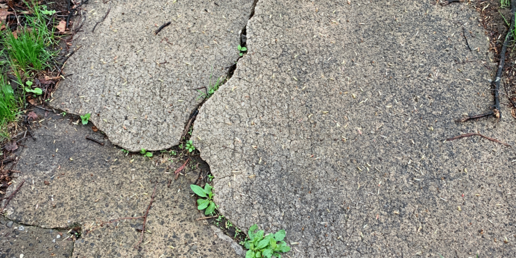 Sidewalk that needs Leveling